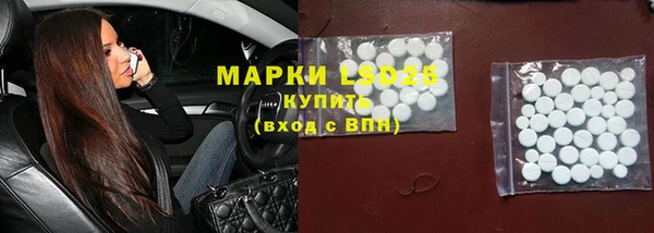 ешки Аркадак