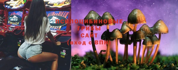 ешки Аркадак